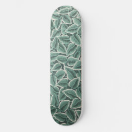 Skateboard Jane Austen's Home Wallpaper