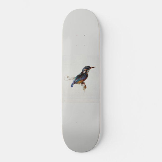 Skateboard Kingfisher (por John Ruskin) (Anverso)