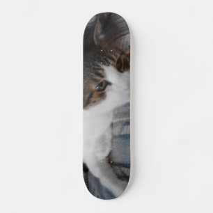 Skateboard Kitty
