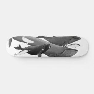 Skateboard La Ballena De Ilustracion De Ballenas