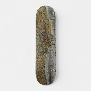 Skateboard La ciudad de Chicago Illinois desde 1874