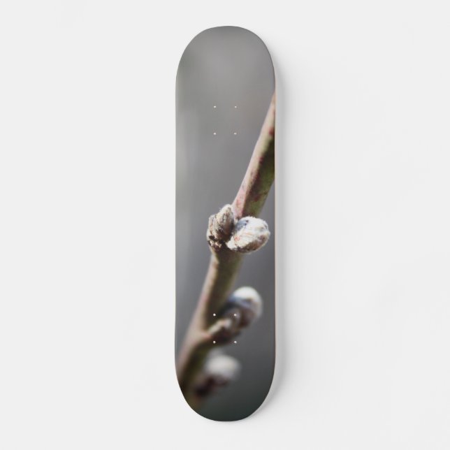 Skateboard La primavera está llegando (Anverso)