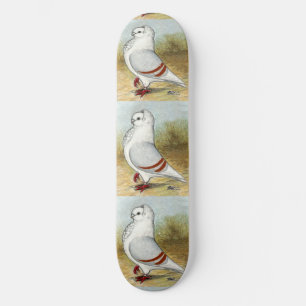 Skateboard La vieja cirujana alemana de búho está de pie