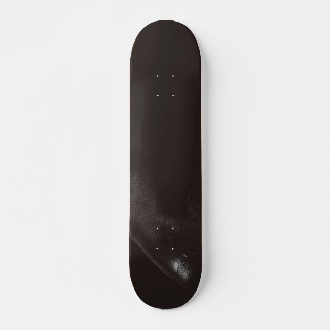 Skateboard laboratorio negro (Anverso )