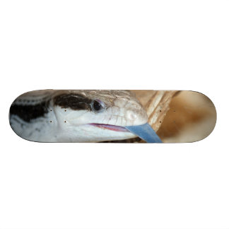 Skateboard Lagarto de la lengua azul