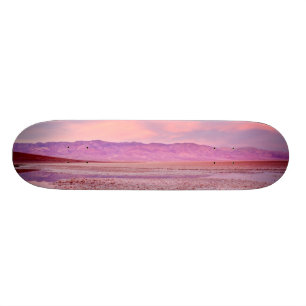 Skateboard Lago Death Valley water