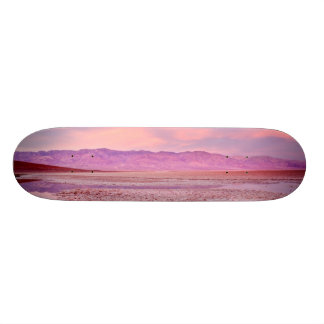 Skateboard Lago Death Valley water