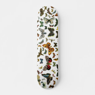 Skateboard Las mariposas y polillas más conocidas de Europa