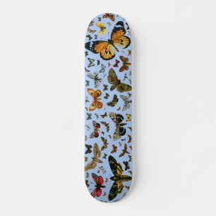 Skateboard Las mariposas y polillas más conocidas de Europa