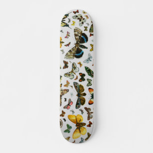 Skateboard Las mariposas y polillas más conocidas de Europa