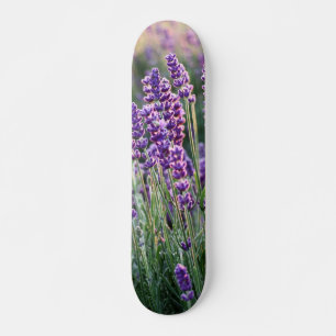 Skateboard Lavanda lúcida 