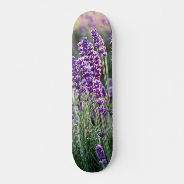 Skateboard Lavanda lúcida  (Anverso )
