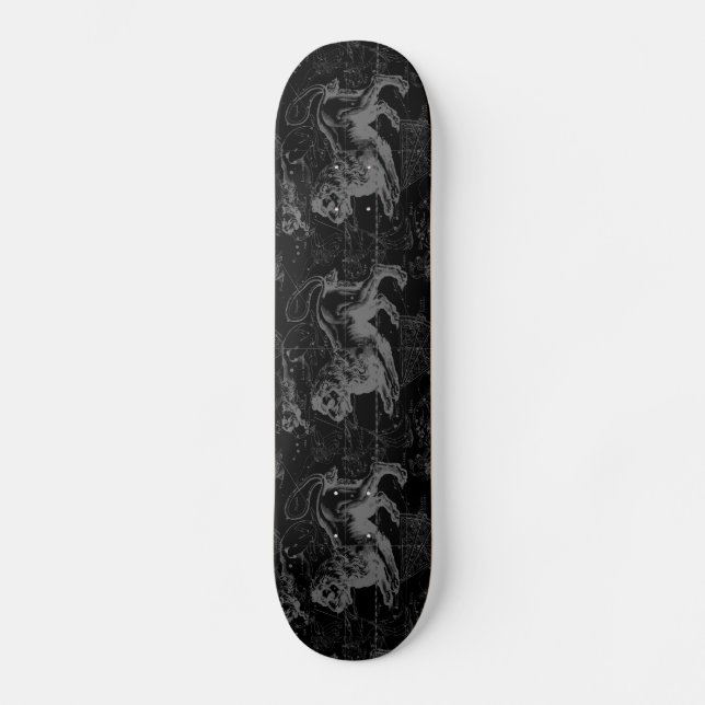 Skateboard Leo Constellation Hevelius 1690 Julio23 - Agosto 2 (Anverso)
