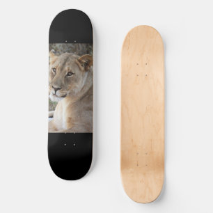 Skateboard León
