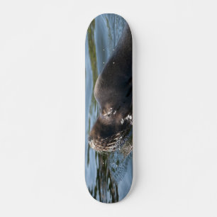 Skateboard León marino