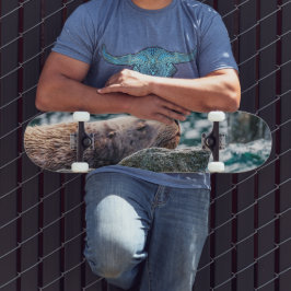 Skateboard León Marítimo En La Bahía De Resurrección, Alaska