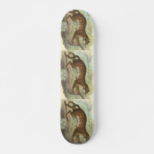 Skateboard Leopard-Cat, Felis bengalensis