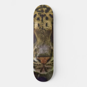 Skateboard Leopardo nublado