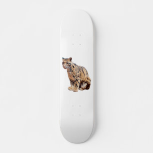 Skateboard leopardo nublado fotografía selva gran gato animal