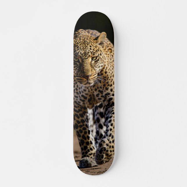Skateboard Leopardo peligroso depredador (Anverso )