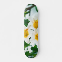 Skateboard Lilis blancas - Lilium candidum de flores de lirio