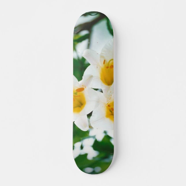 Skateboard Lilis blancas - Lilium candidum de flores de lirio (Anverso )