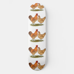 Skateboard Lincoln Buff Chickens