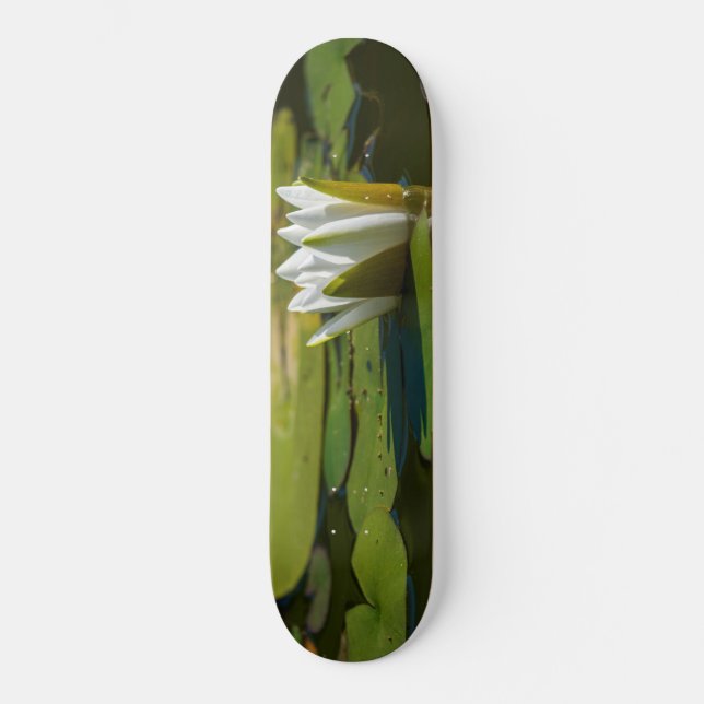 Skateboard Lirio de agua blanca (Anverso)