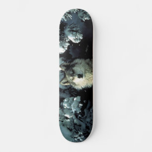 Skateboard Lobo de madera norteamericano en la nieve