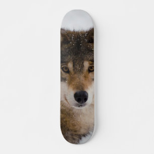 Skateboard Lobo gris europeo