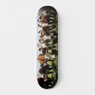 Skateboard Lookie Here Cowabunga