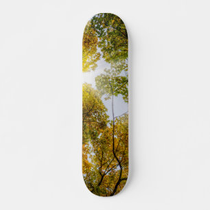 Skateboard Luz del sol a través de arces de azúcar de otoño