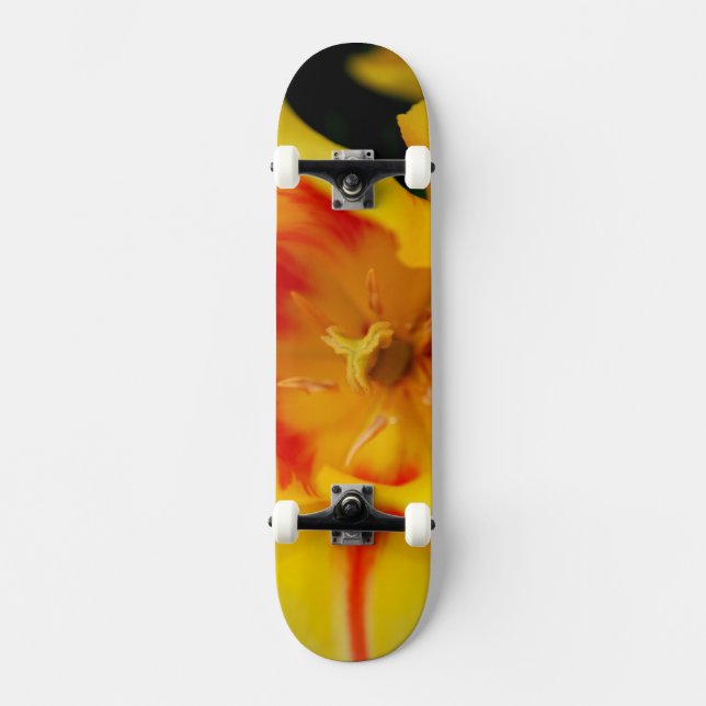 Skateboard macro de tulip (Anverso)