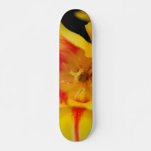 Skateboard macro de tulip