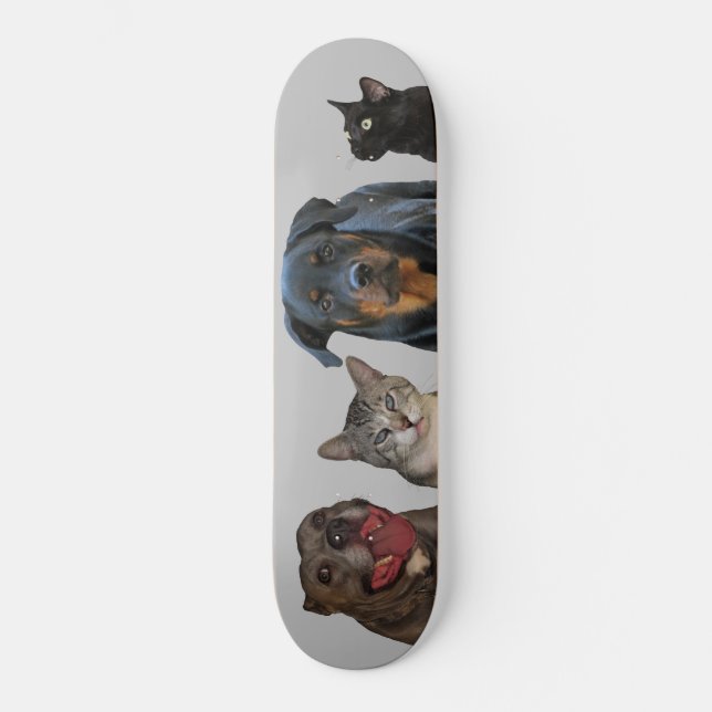 Skateboard Madera para patinaje de perros y gatos (Anverso)