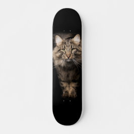 Skateboard Maine Coon big cat