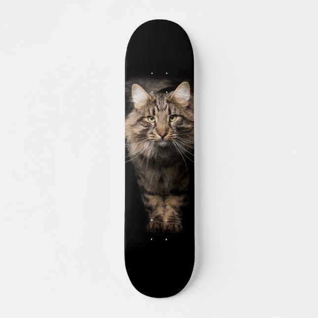 Skateboard Maine Coon big cat (Anverso )