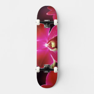 Skateboard Malasia, Orquídea