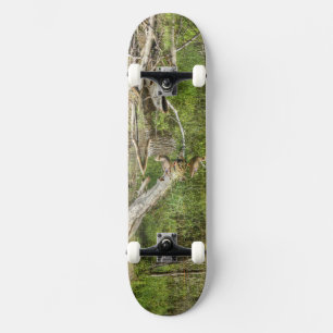 Skateboard Mallard on Pond