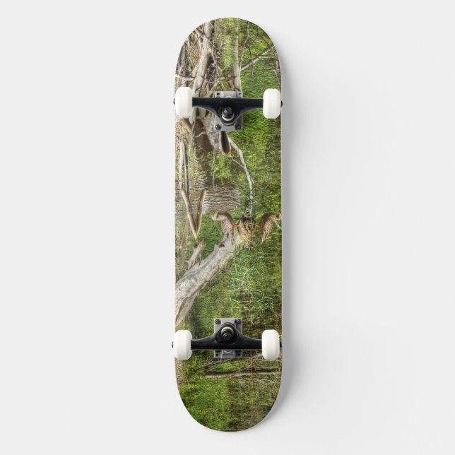 Skateboard Mallard on Pond (Anverso)