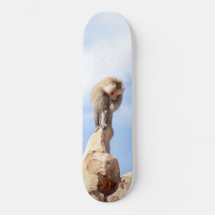 Skateboard Mandrill en la cima de una montaña