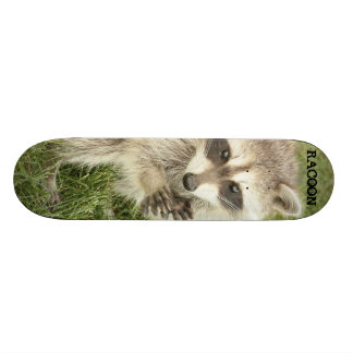 Skateboard Mapache