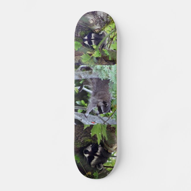 Skateboard Mapache (Anverso)