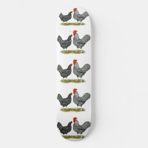 Skateboard Marans: Cuckoo Pair