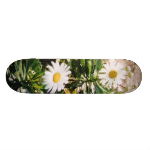 SKATEBOARD MARGARITA