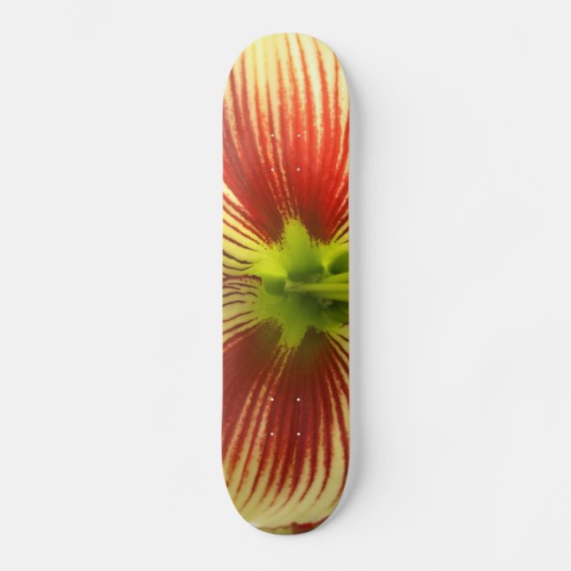 Skateboard Mariposa Amaryllis (Anverso)