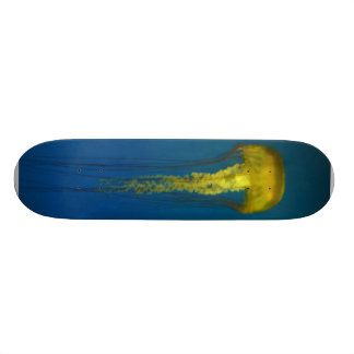 Skateboard Medusas
