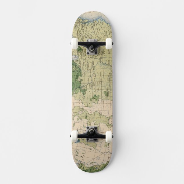 Skateboard Milla de 161 Barley/sq (Anverso)