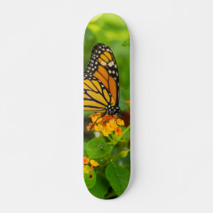 Skateboard Monarca En Lantana