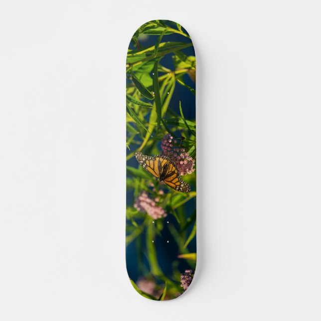 Skateboard Monarca Y Milkweed (Anverso )